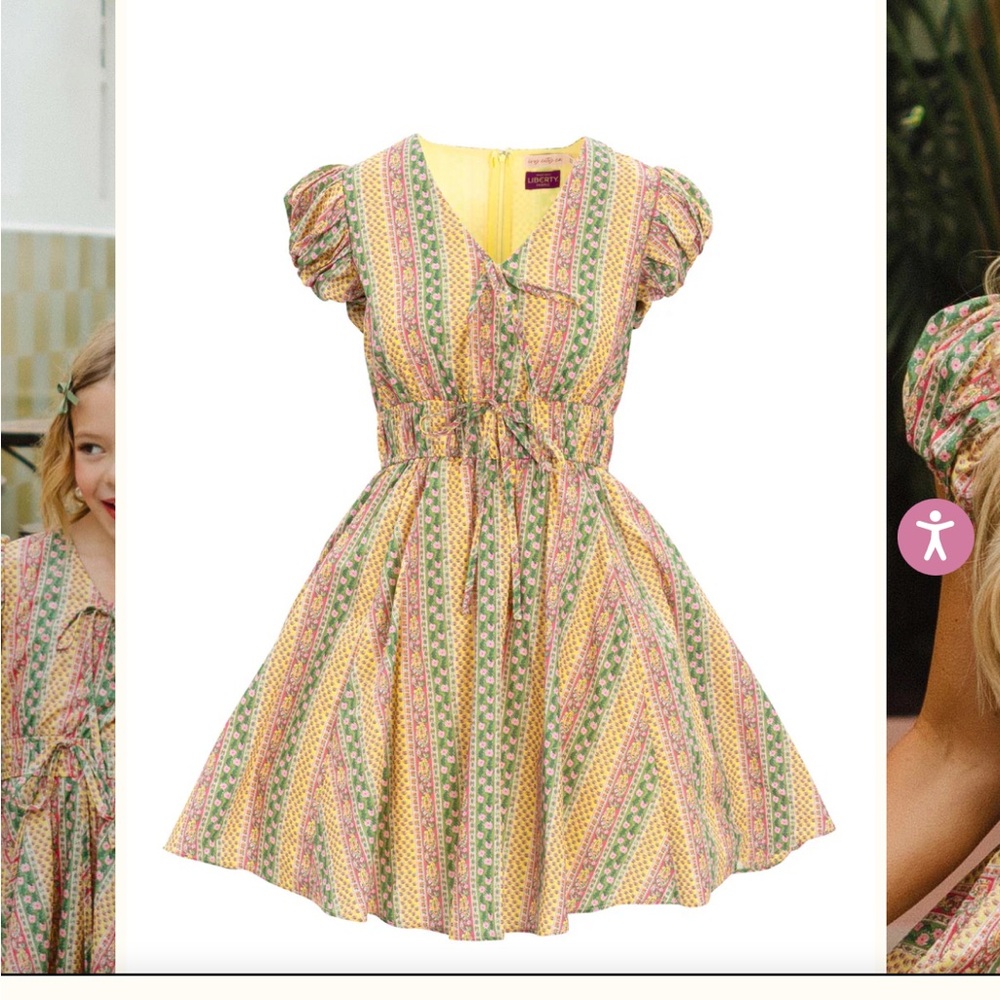 NWT Ivy City Co Zaza Dress